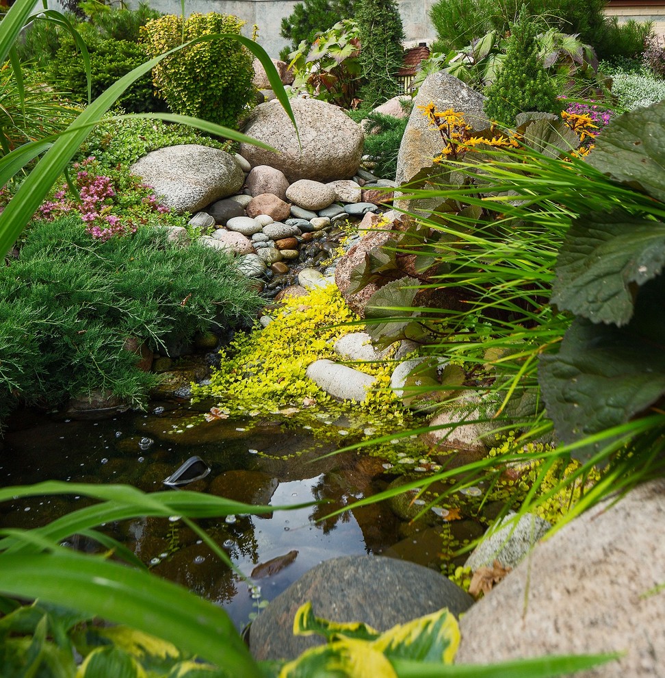Ispirazione per un laghetto da giardino contemporaneo esposto in pieno sole in estate