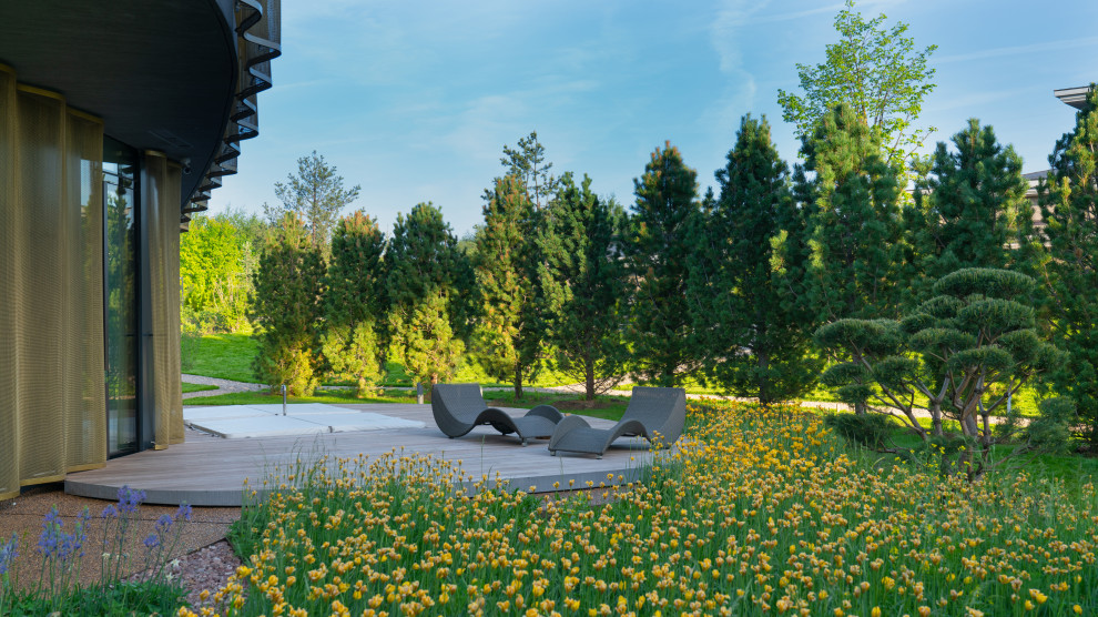 Идея дизайна: огромный солнечный, весенний участок и сад в стиле модернизм с перегородкой для приватности, хорошей освещенностью и настилом