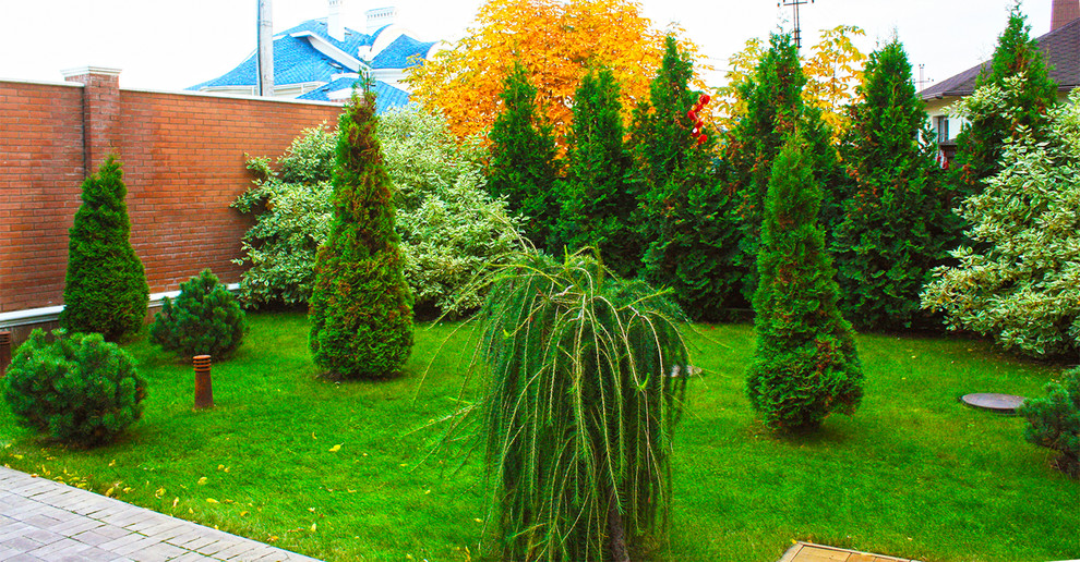 Exemple d'un jardin à la française avant scandinave l'automne et de taille moyenne avec une exposition partiellement ombragée, des pavés en béton et des solutions pour vis-à-vis.