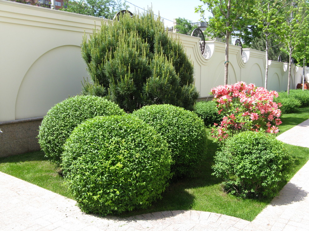 Источник вдохновения для домашнего уюта: солнечный, летний регулярный сад в классическом стиле с хорошей освещенностью и садовой дорожкой или калиткой