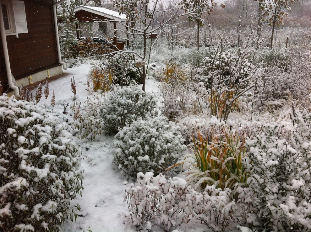 Design ideas for a contemporary garden for winter in Other.