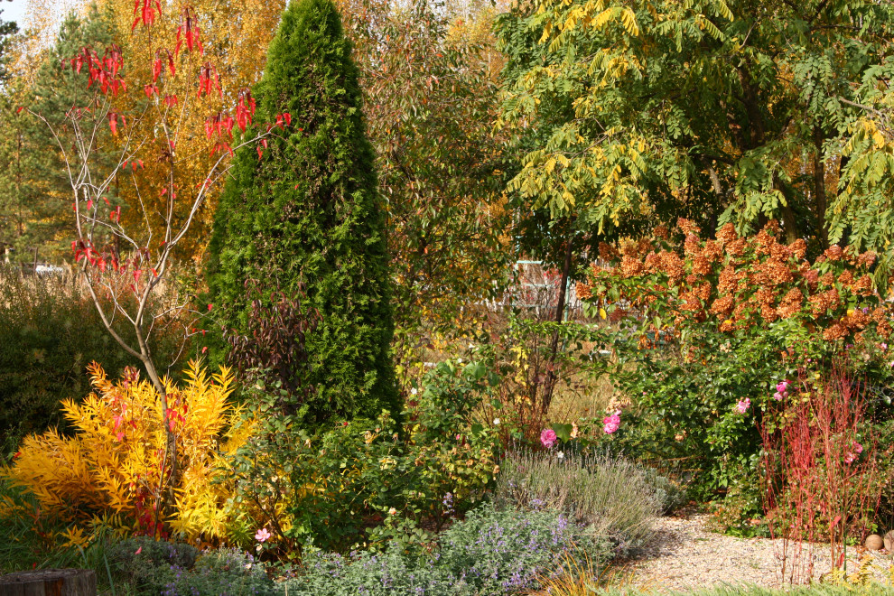 Esempio di un giardino esposto in pieno sole in autunno con ghiaia