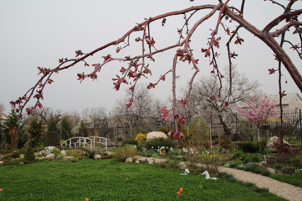 Cette image montre un jardin arrière design de taille moyenne et au printemps avec une exposition ensoleillée et du gravier.