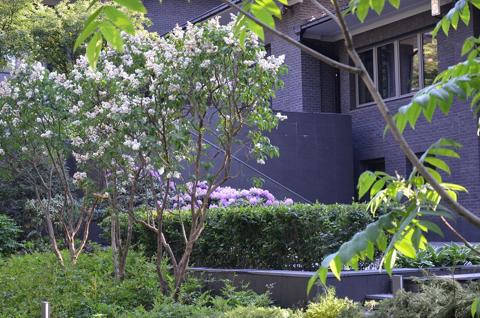 Идея дизайна: весенний участок и сад на внутреннем дворе в стиле модернизм с полуденной тенью и покрытием из каменной брусчатки