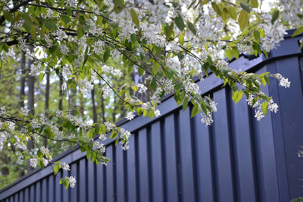 Foto di un grande giardino minimalista esposto a mezz'ombra in cortile in primavera