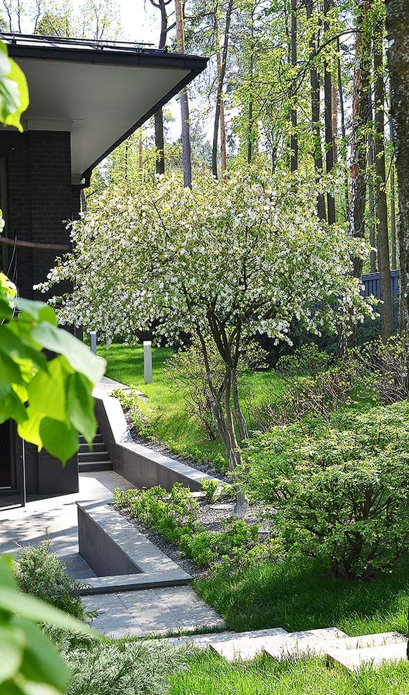 Idee per un grande giardino moderno esposto a mezz'ombra in cortile in primavera