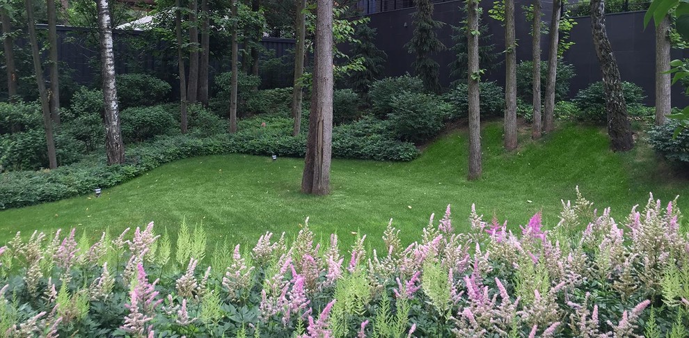 Foto di un grande giardino minimalista esposto a mezz'ombra in cortile in estate