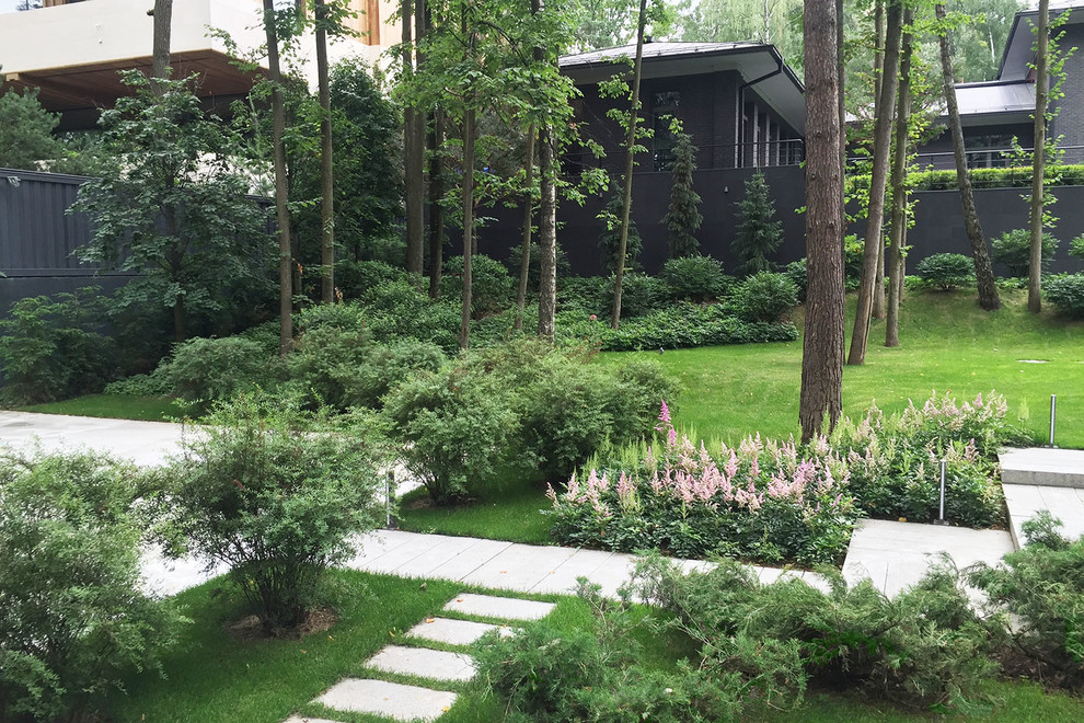 Idee per un grande giardino moderno esposto a mezz'ombra in cortile in estate