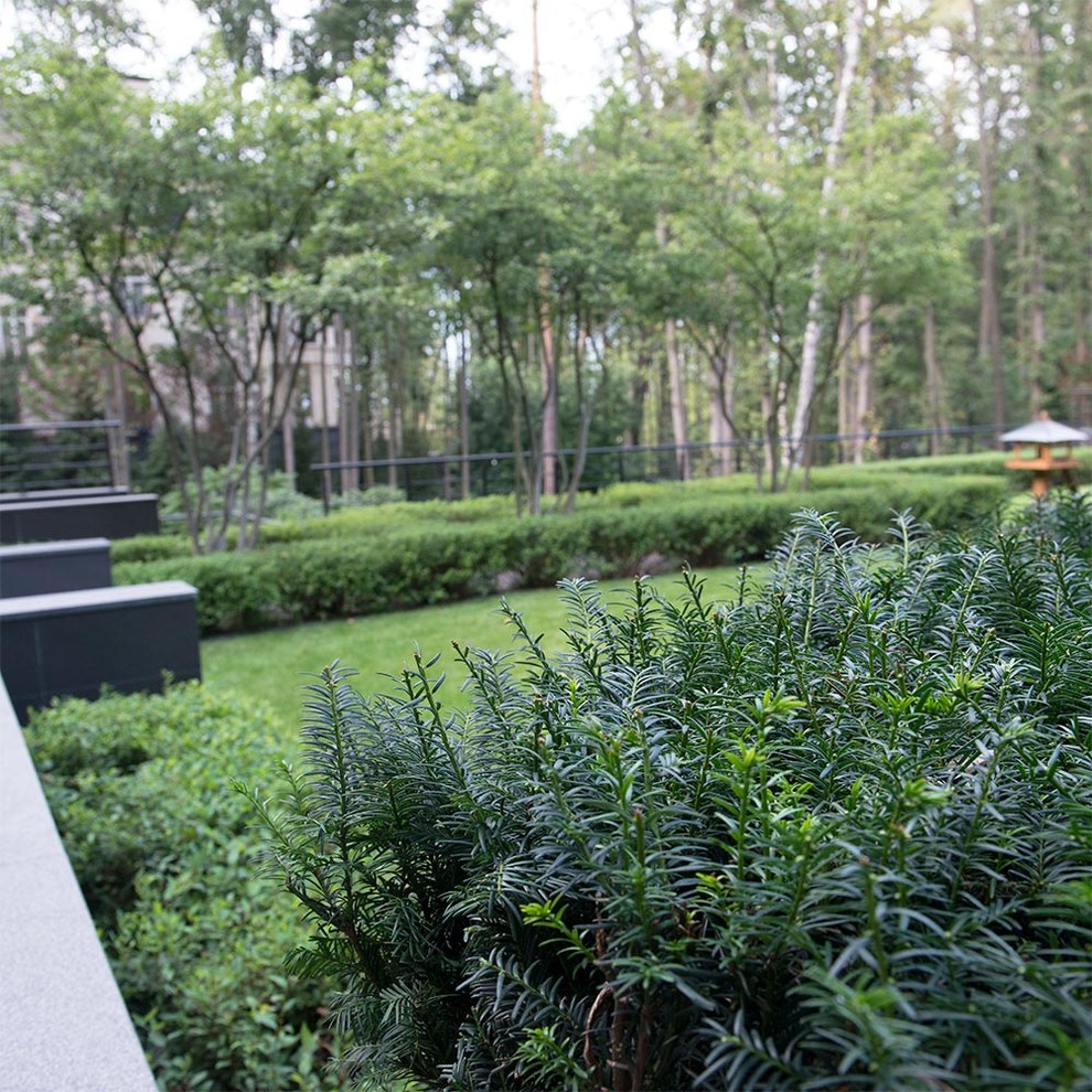 Свежая идея для дизайна: большой летний регулярный сад на внутреннем дворе в стиле модернизм с полуденной тенью - отличное фото интерьера