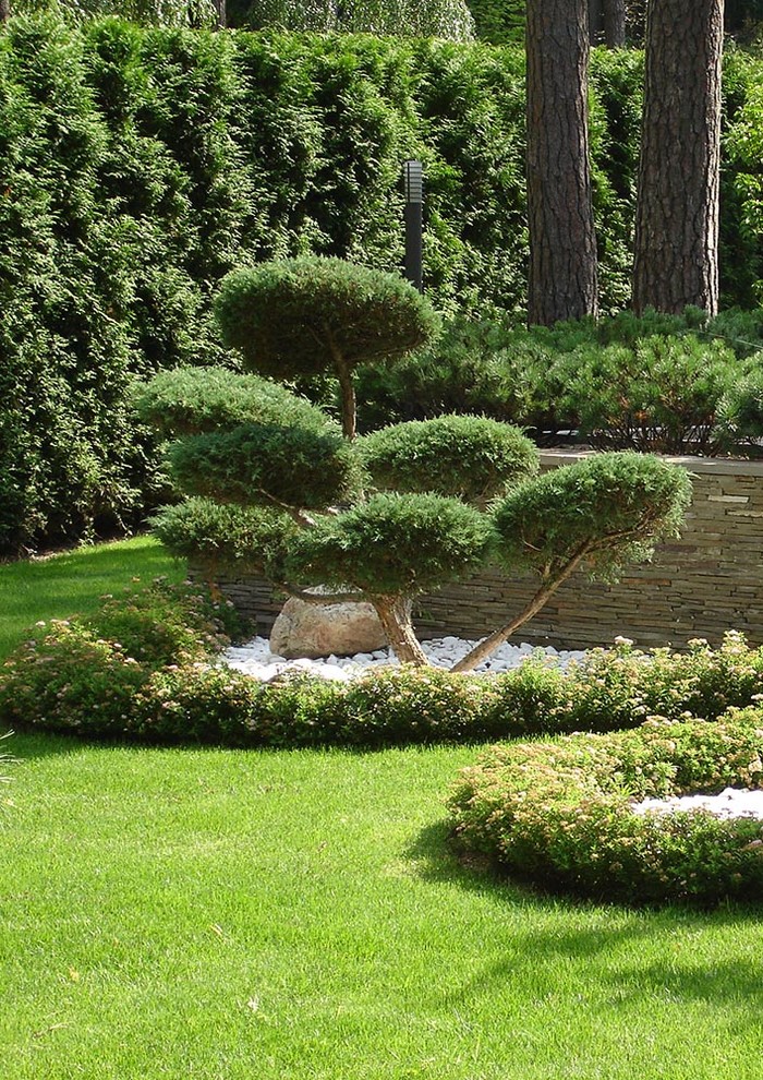 Стильный дизайн: осенний участок и сад на переднем дворе в стиле модернизм с полуденной тенью и покрытием из каменной брусчатки - последний тренд