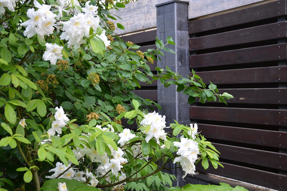 На фото: маленький тенистый, весенний регулярный сад на боковом дворе с садовой дорожкой или калиткой и покрытием из гравия для на участке и в саду