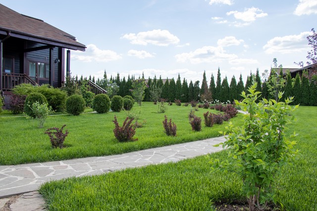 Сосновые берега - Contemporary - Garden - Moscow - by Светлана Батова | Цветущий сад | Houzz IE