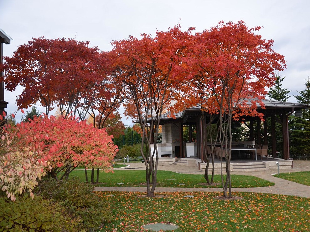 Esempio di un giardino moderno esposto in pieno sole di medie dimensioni in autunno con pavimentazioni in pietra naturale
