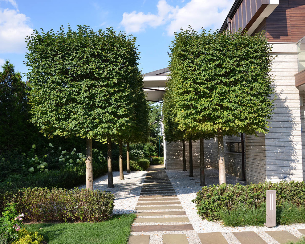 Exemple d'un jardin sur cour moderne l'été et de taille moyenne avec une exposition ensoleillée.