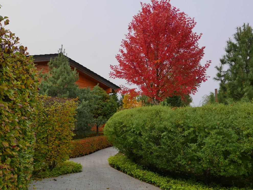 Ispirazione per un giardino formale vittoriano esposto a mezz'ombra in autunno