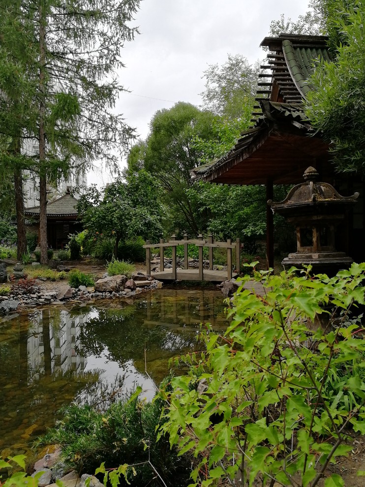 Réalisation d'un jardin japonais arrière asiatique de taille moyenne et au printemps avec une exposition partiellement ombragée.