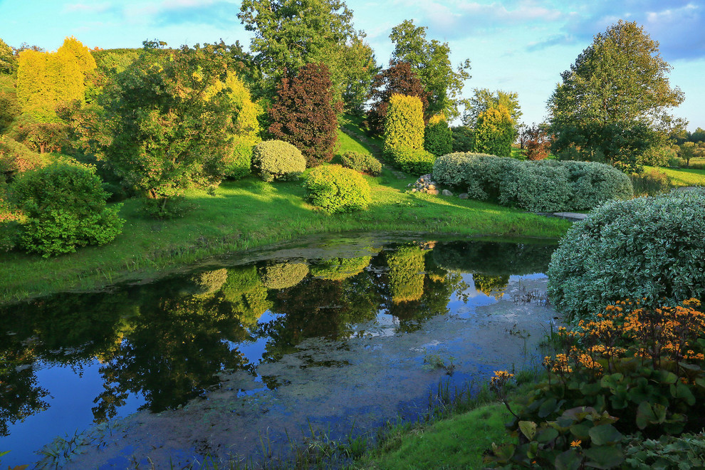 Design ideas for a garden in Moscow.