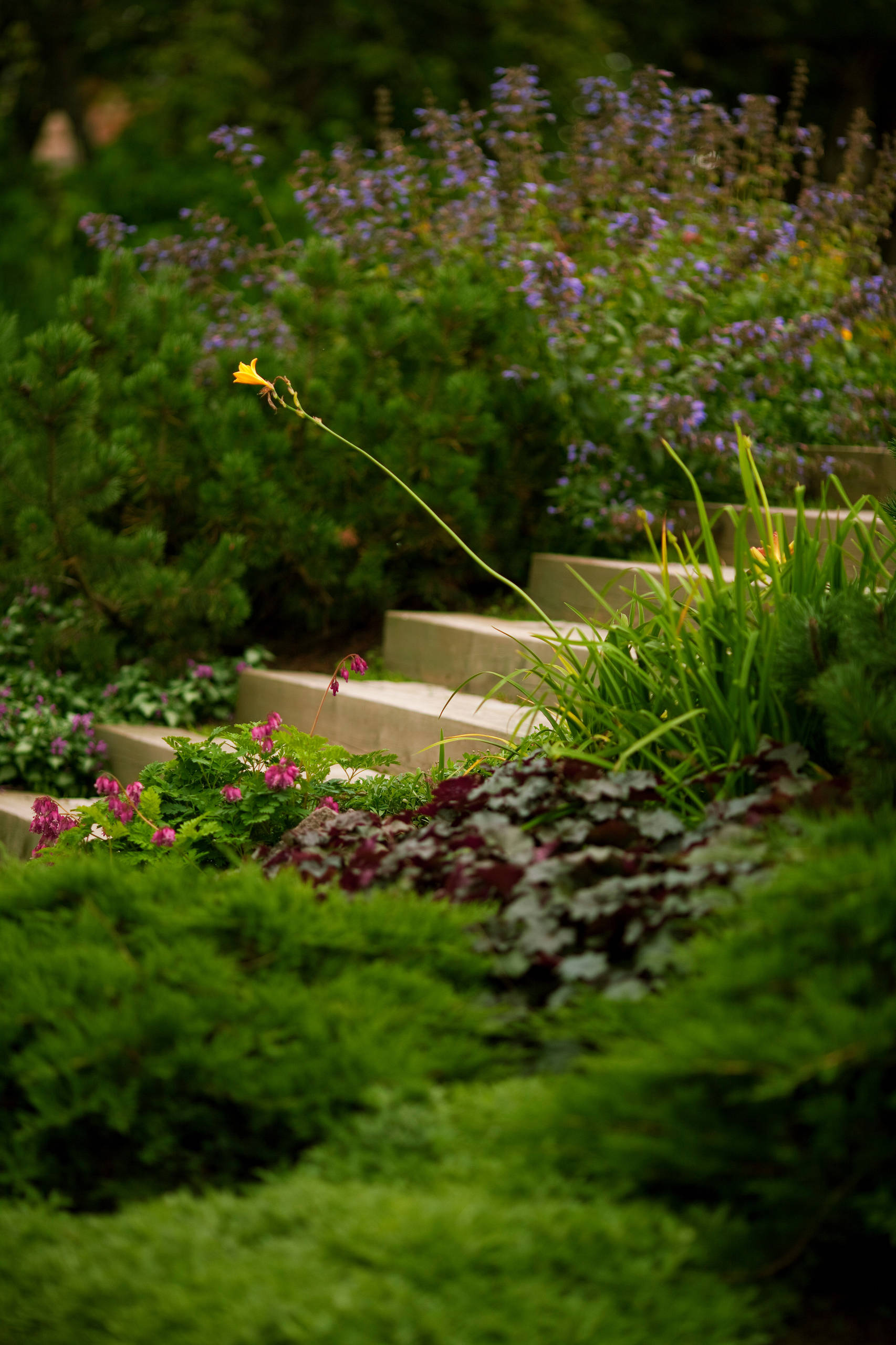 Проект в подготовительной группе «Зимний сад — царство комнатных растений»
