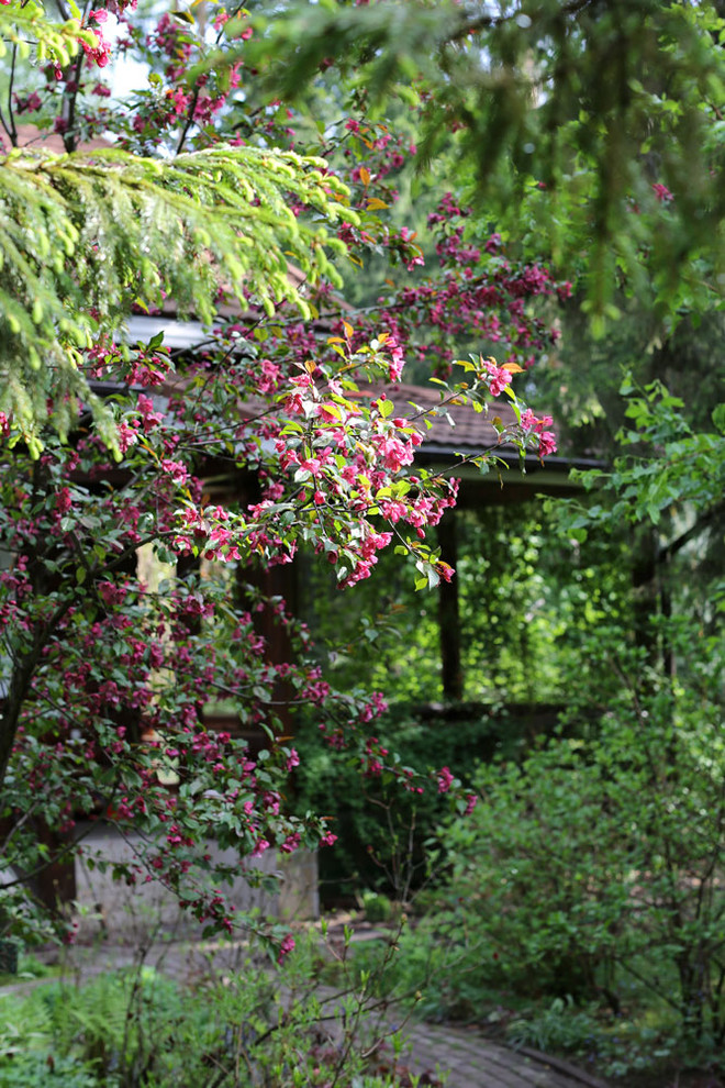 Mittelgroßer, Schattiger Rustikaler Garten im Innenhof im Frühling mit Betonboden in Moskau