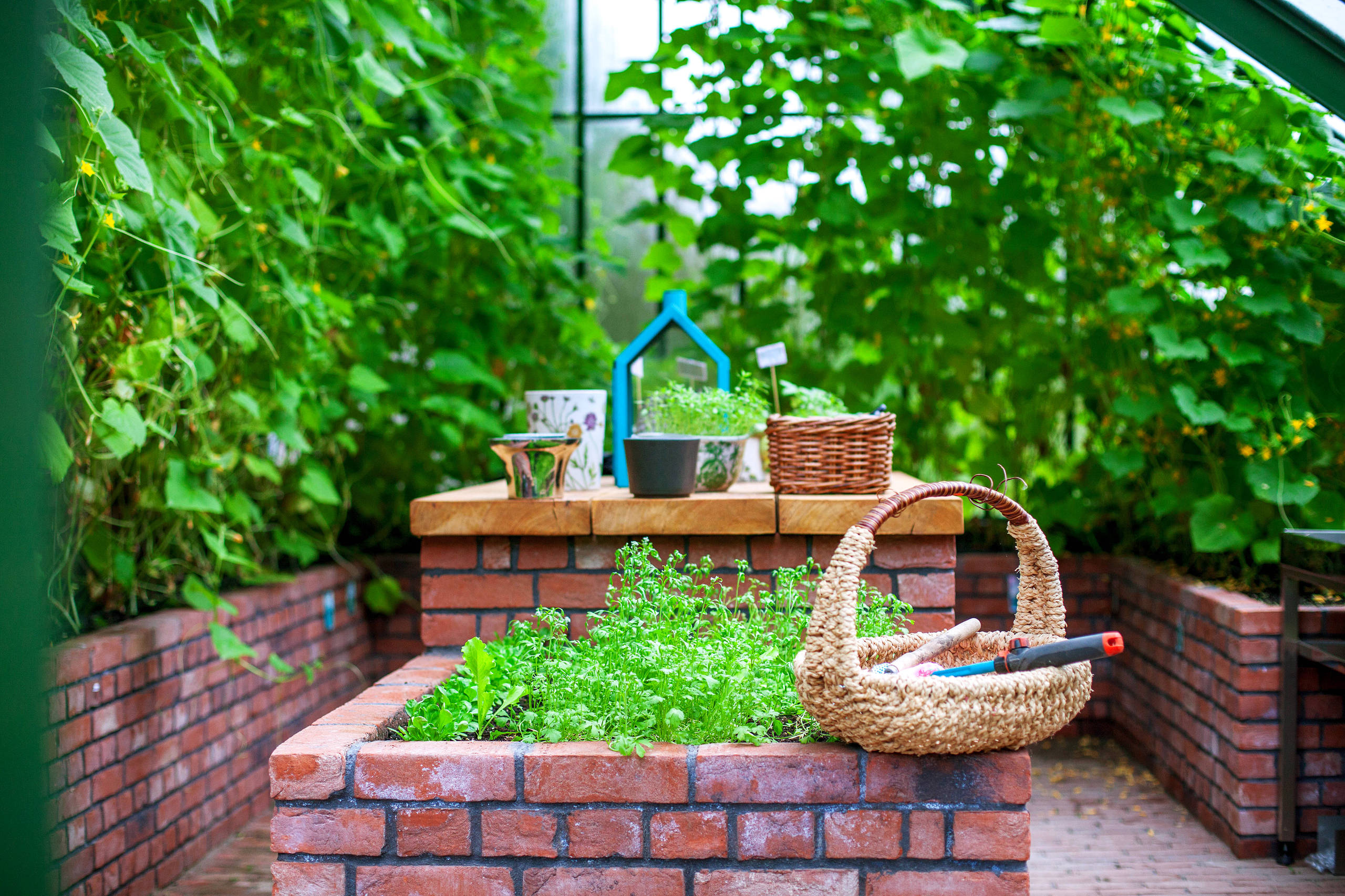 Вечнозеленый дом: обзор технологий для садоводства в квартире