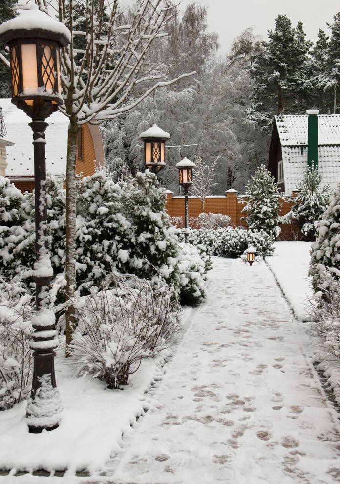 Пример оригинального дизайна: участок и сад зимой в классическом стиле