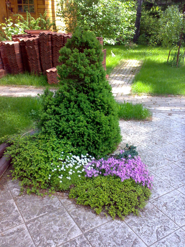 Пример оригинального дизайна: большой весенний регулярный сад на внутреннем дворе в классическом стиле с садовой дорожкой или калиткой и полуденной тенью