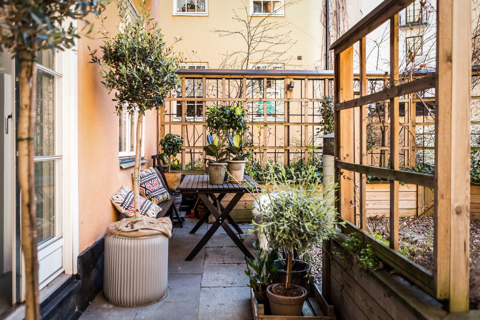 Design ideas for a medium sized traditional back patio in Stockholm with a potted garden, concrete paving and no cover.