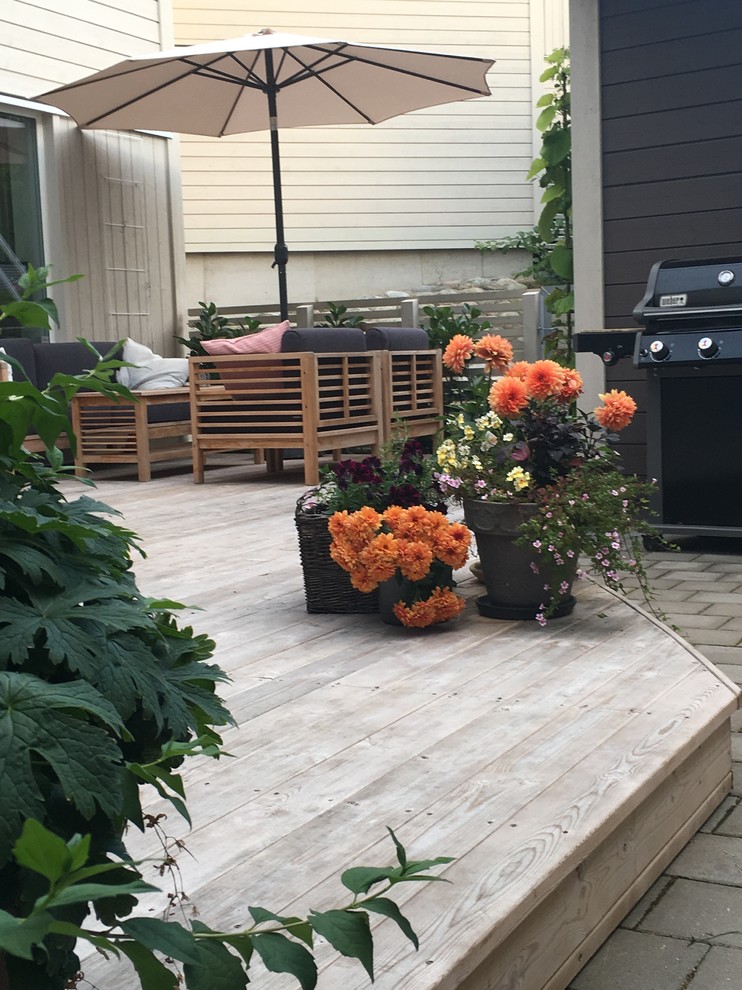 Kleiner Nordischer Patio hinter dem Haus mit Kübelpflanzen und Betonboden in Stockholm