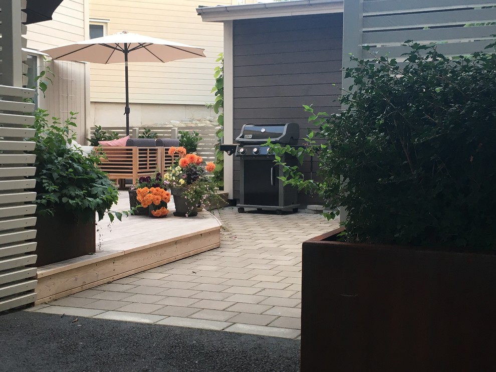 Свежая идея для дизайна: маленький двор на заднем дворе в скандинавском стиле с растениями в контейнерах и мощением тротуарной плиткой для на участке и в саду - отличное фото интерьера
