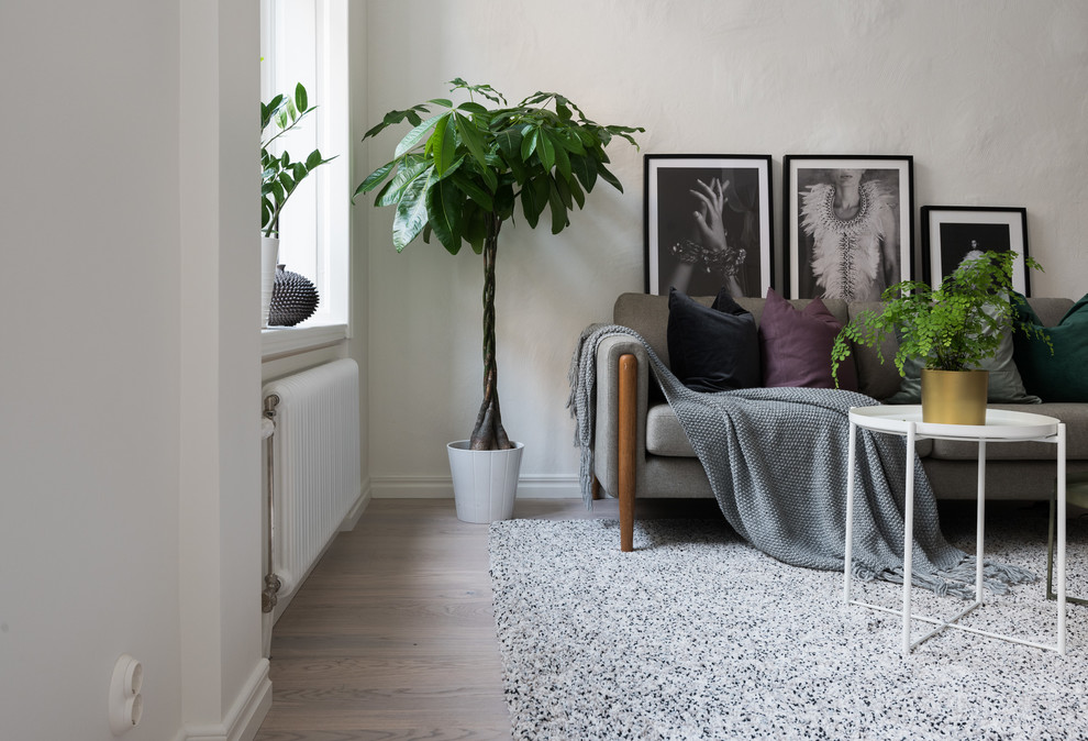 Design ideas for a scandi living room in Stockholm with white walls and light hardwood flooring.
