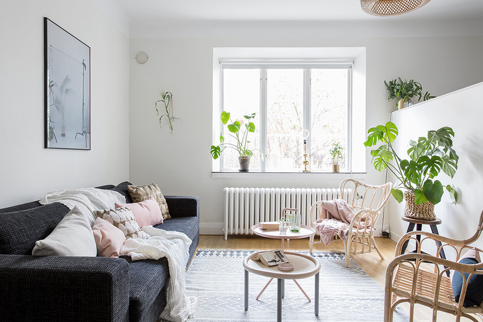 Foto de salón cerrado escandinavo de tamaño medio sin chimenea y televisor con paredes blancas y suelo de madera clara