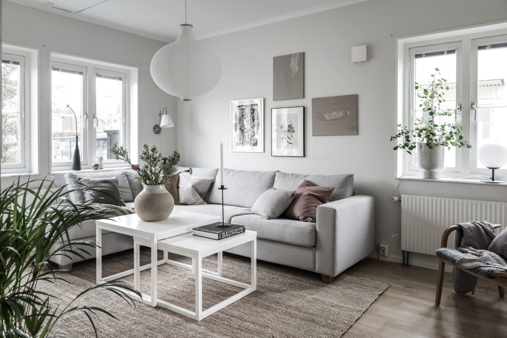 Design ideas for a scandinavian living room in Gothenburg with grey walls, medium hardwood flooring and brown floors.