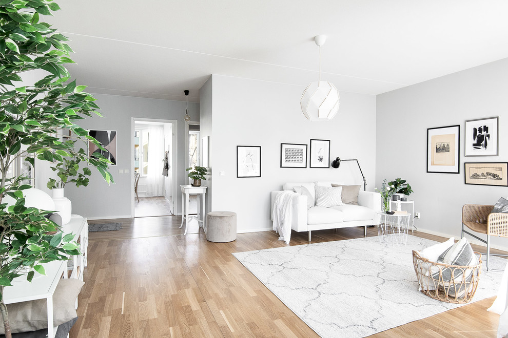Foto på ett skandinaviskt allrum med öppen planlösning, med grå väggar, ljust trägolv och beiget golv