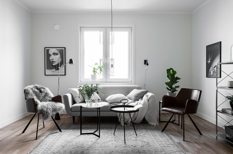 Mittelgroßes, Repräsentatives, Fernseherloses Nordisches Wohnzimmer mit grauer Wandfarbe und hellem Holzboden in Göteborg