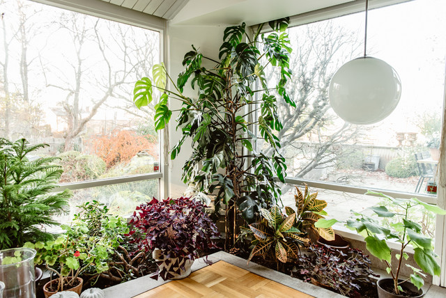 10 idées pour végétaliser les rebords des fenêtres