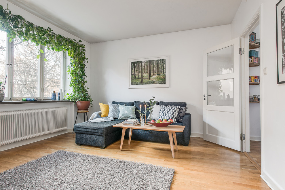 Foto de salón cerrado escandinavo pequeño con paredes blancas, suelo de madera en tonos medios y suelo beige