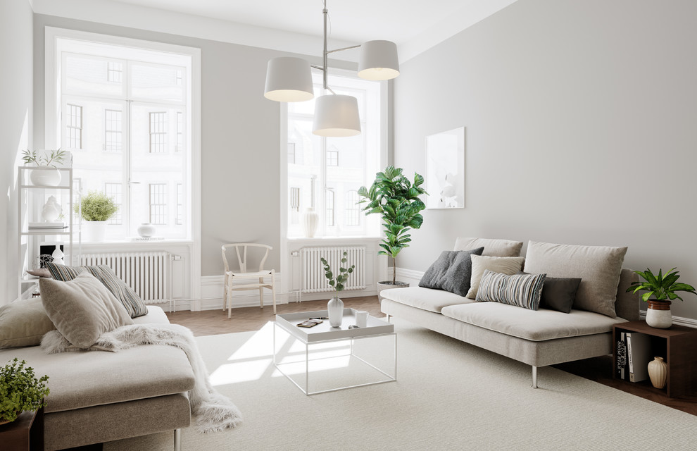 Idéer för minimalistiska vardagsrum, med grå väggar, mellanmörkt trägolv och brunt golv