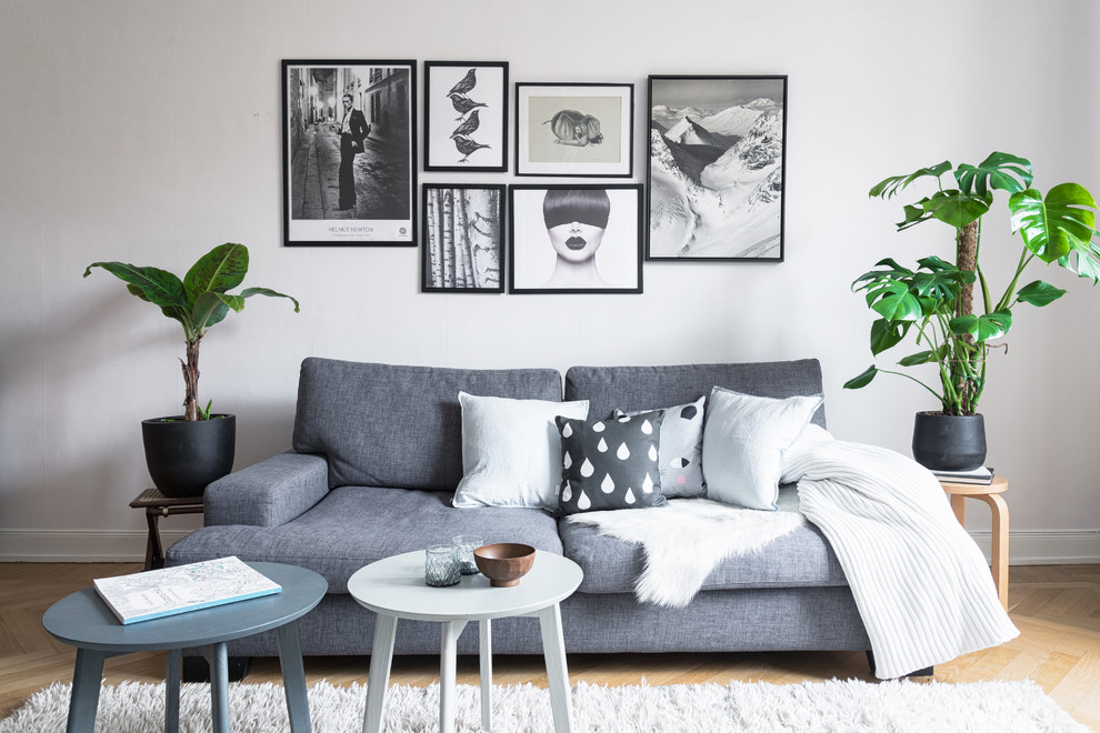 Mittelgroßes, Repräsentatives, Fernseherloses, Offenes Skandinavisches Wohnzimmer ohne Kamin mit grauer Wandfarbe und hellem Holzboden in Stockholm