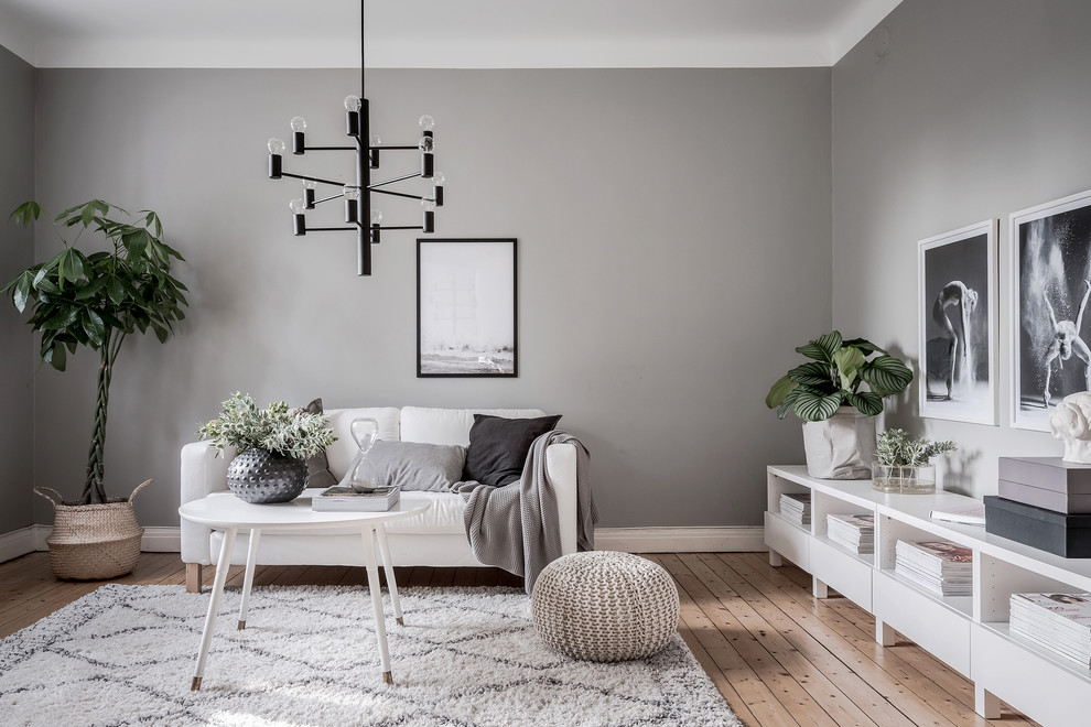 Idéer för ett mellanstort minimalistiskt separat vardagsrum, med grå väggar och ljust trägolv