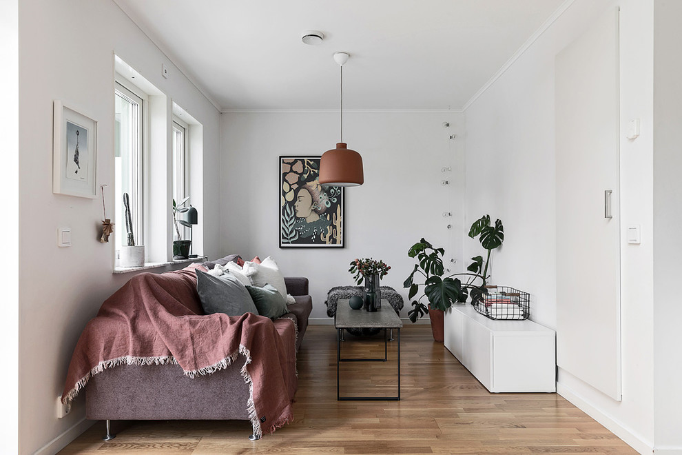 Exempel på ett minimalistiskt vardagsrum, med vita väggar, mellanmörkt trägolv och brunt golv