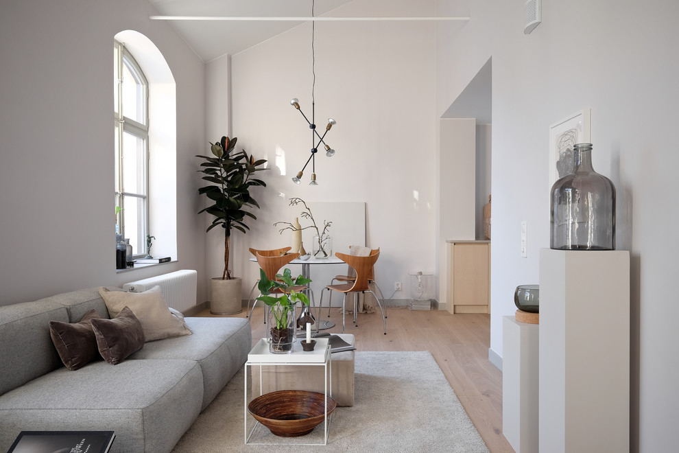 Inspiration for a large scandinavian formal open plan living room in Stockholm with grey walls, light hardwood flooring, no fireplace and no tv.