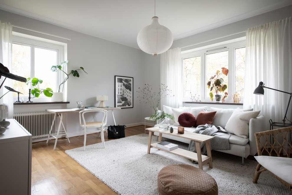 Scandi living room in Gothenburg with grey walls, medium hardwood flooring and brown floors.