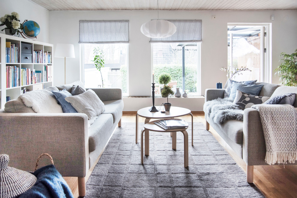 Danish living room photo in Malmo