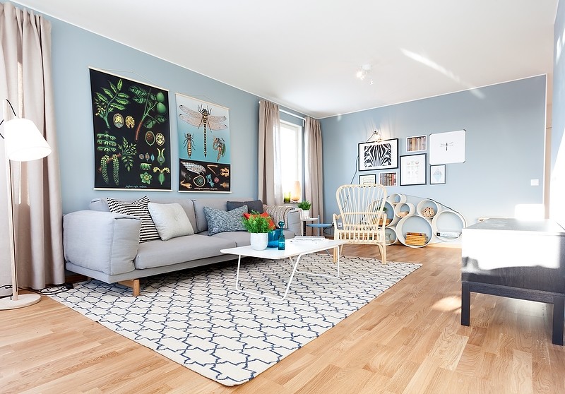 Medium sized scandinavian enclosed living room in Gothenburg with blue walls, light hardwood flooring, no tv and brown floors.