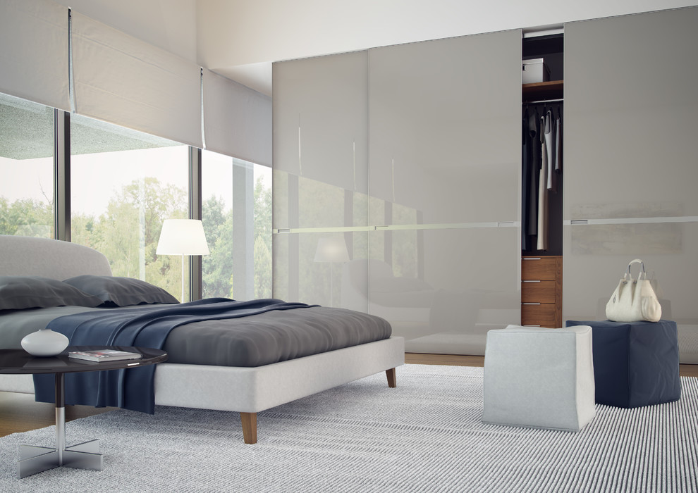 This is an example of a contemporary standard wardrobe in Other.