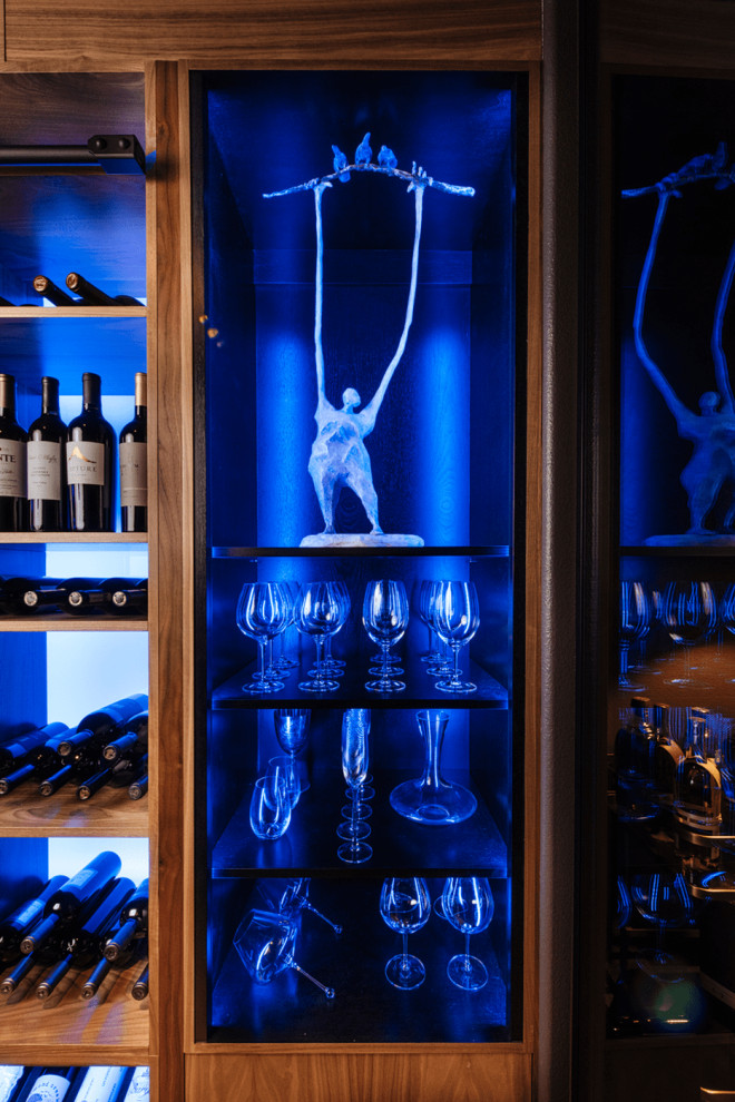 Cette photo montre une cave à vin moderne avec un présentoir.