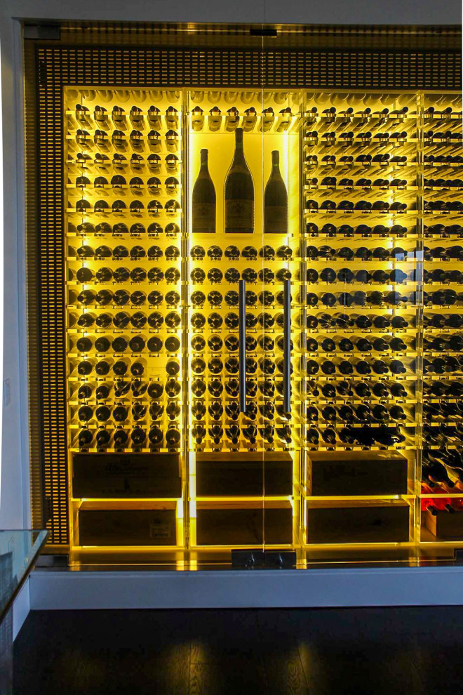 Aménagement d'une cave à vin contemporaine de taille moyenne avec parquet foncé, des casiers et un sol marron.