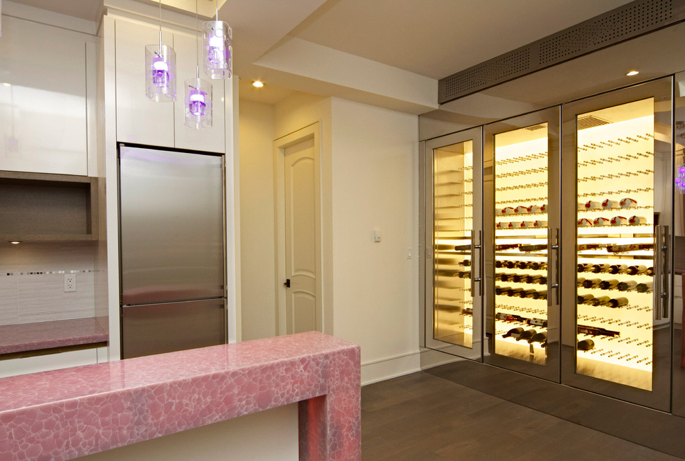 West 19th Backlit LED Stainless Steel Custom Wine Fridge Modern
