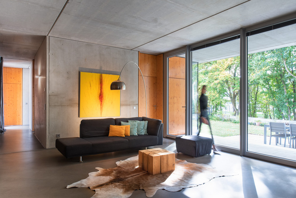 Offenes Modernes Wohnzimmer mit grauer Wandfarbe, Betonboden und grauem Boden in Düsseldorf