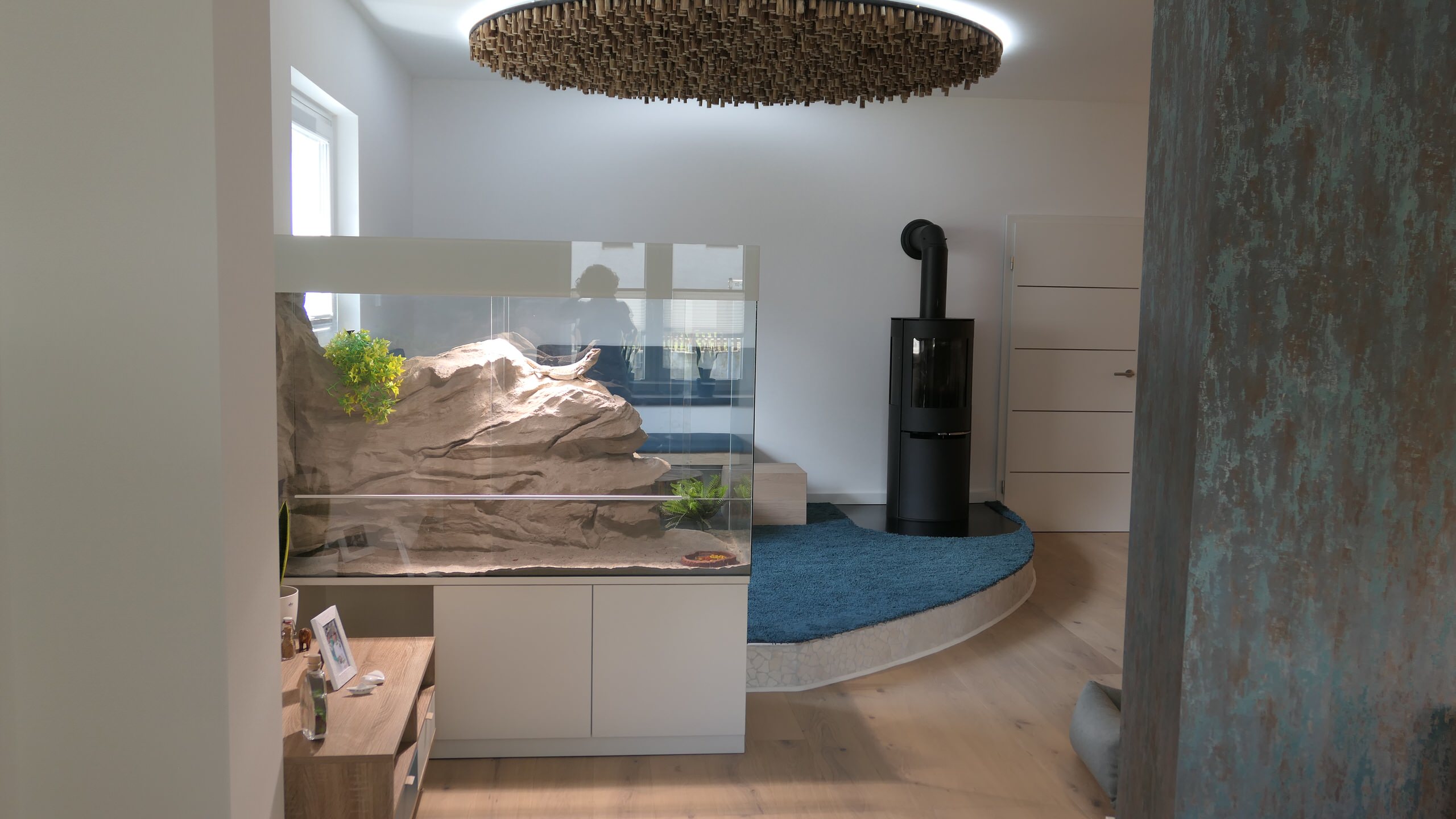 Die besondere Ofenecke wird seitlich von einem Terrarium begrenzt -  Contemporary - Family Room - Frankfurt - by design-concept für Ihre  LebensRäume | Houzz